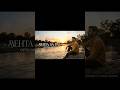 Behta Sa Pal | Official Audio | Melody Sphere India | #newsong #music #melodysphereindia #melody