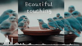 Beautiful touching Vivo Alarm Ringtone || M.4 Music || #relaxing screenshot 5