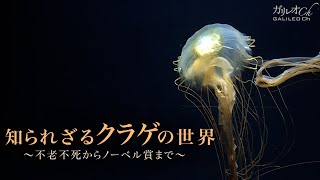 知られざるクラゲの世界 〜不老不死からノーベル賞まで〜 | ガリレオX 第178回