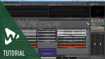 Overview of the Audio Montage in WaveLab Pro | Tutorials