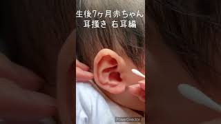 【耳掃除】生後７ヶ月赤ちゃん右耳編earcleaning shorts