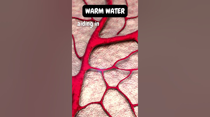 Igniting Vitality: How Warm Water Supercharges Blood Circulation for Optimal Health