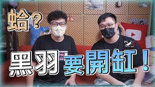 【蛤你要開缸 EP1】幫黑羽設個“好整理”兼“有點造景”的蝦缸 feat.@黑羽 蝦缸造景陰性草我只是個養蝦的4K