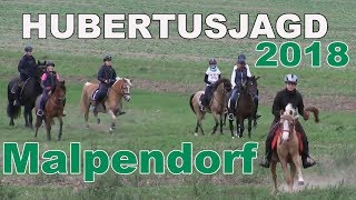 Hubertusjagd Malpendorf 2018 Trailer
