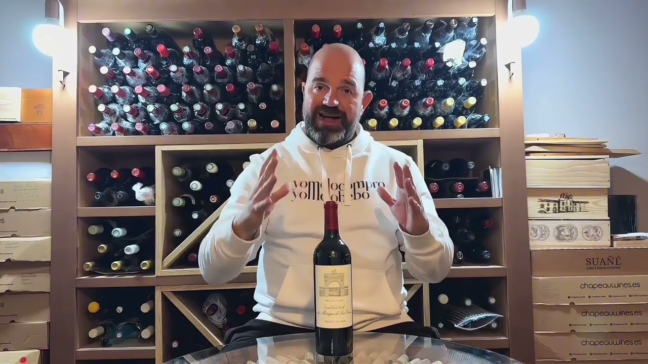 Los 10 mejores vinos tintos de Burdeos 