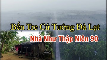Toàn cảnh sương mù bao phủ rừng dừa Bến Tre và khung cảnh nhà quê như thời thập niên 90.