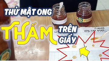 MẬT ONG RỪNG CÓ THẤM TRÊN GIẤY