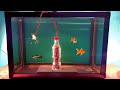 Matches Coca-Cola VS Aquarium! Amazing Underwater Chain Reaction