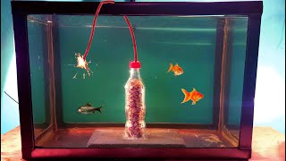 Matches Coca-Cola VS Aquarium! Amazing Underwater Chain Reaction