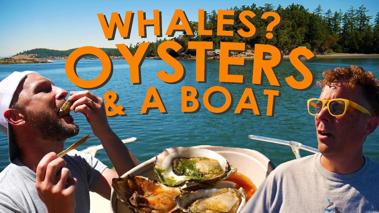 A San Juan Island Story Wescott Bay Oysters, Mythical Whales and a