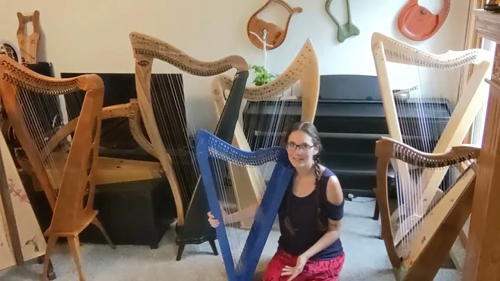 Ten Harps from $500 to $14,000! Harp Comparison Vi...