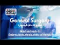 General Surgery L6 - head &amp; neck 1 - thyroid 2 ( embryo,histo , physio , goiter)