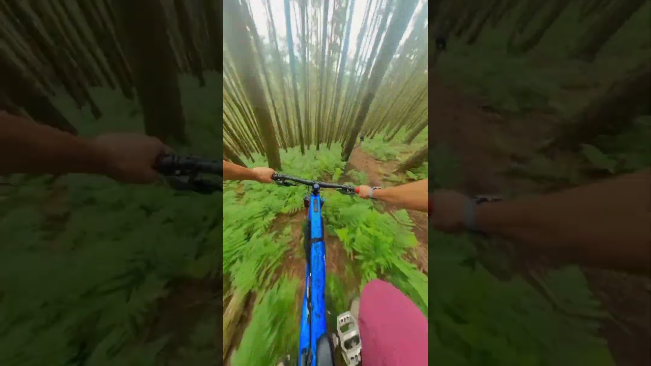 Jungle cycle riding