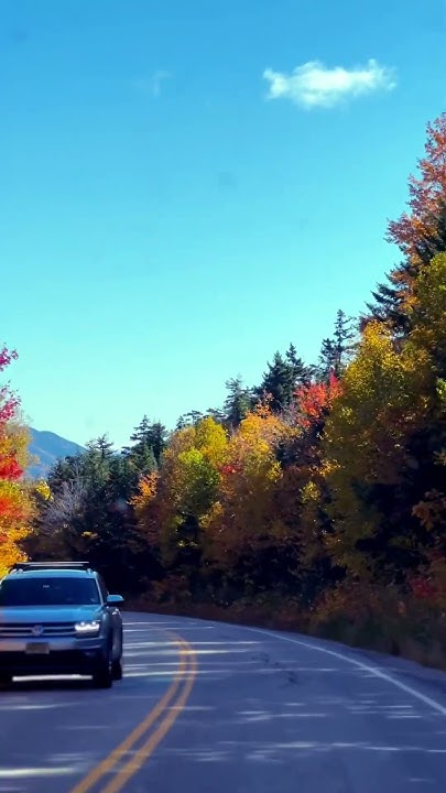 Just wowed Fall Leaves YouTube Just wowed Fall Leaves YouTube