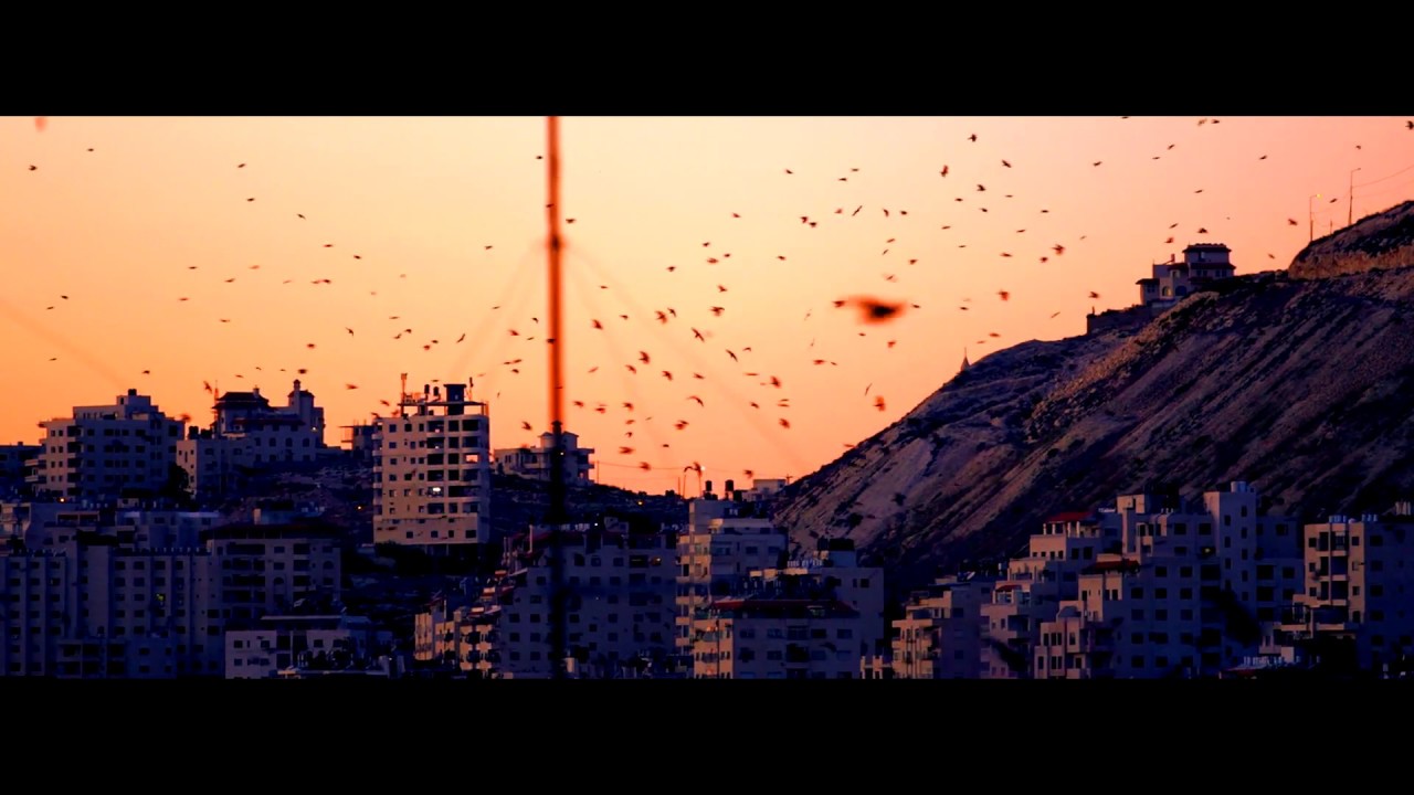 Watch Du Plomb - This Is My Eye on YouTube Watch Du Plomb - This Is My Eye on YouTube