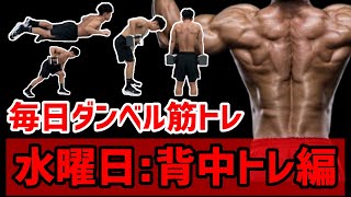 背筋計　健康診断　体力テスト　240kg 筋トレ　ダンベル　トレーニング 背筋力計 標準型 240Kg | 健康・ベビー 健康器具・体力測定