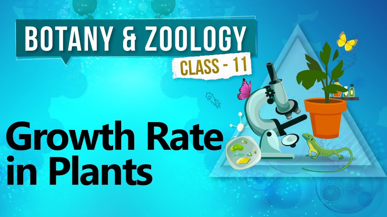 Growth Rate in Plants Plant Growth and Development Biology Class 11