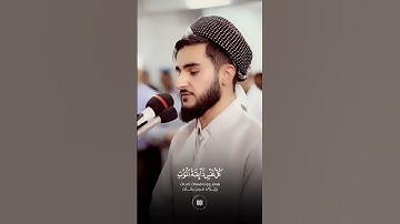 سورة العنكبوت قارئ يوسف عثمان
