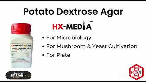 Potato dextrose agar ทำไมถ งใส ม นฝร ง