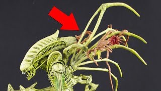 Exotic Xenomorphs #10: Facehugger CARRIER Xenomorph...