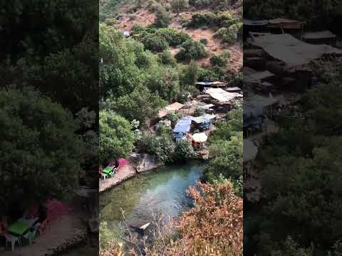 طبعا الفديوهات بدون ترتيب لكنها لأ اقشور الرائعة