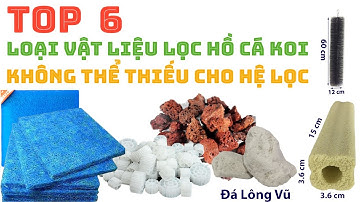 TOP 6 Loại Vật Liệu Lọc Không Thể Thiếu Cho Mỗi Hồ Cá Koi | Mang lại Hiệu Quả Lọc Cao Nhất #hocakoi