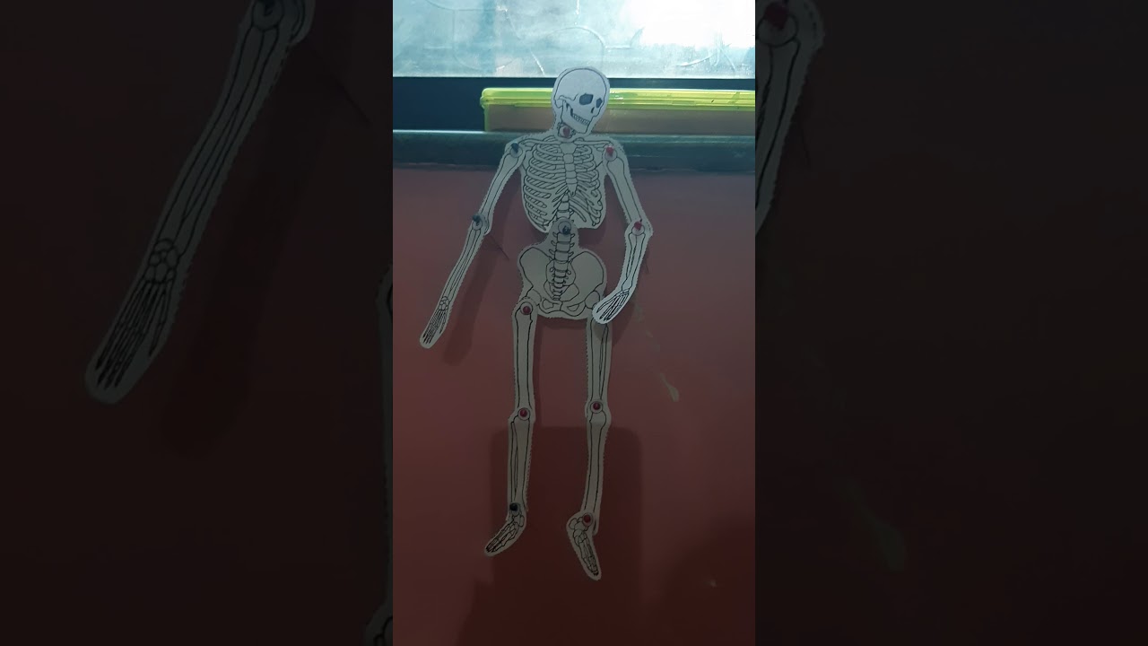 Easy Skeleton system model