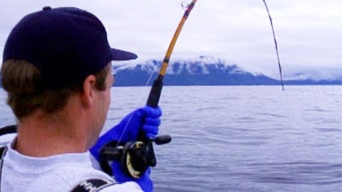 Giant Halibut Action: Sitka Alaska, Part 2