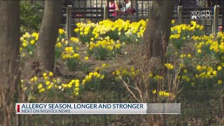 Health Alert: Allergy season
