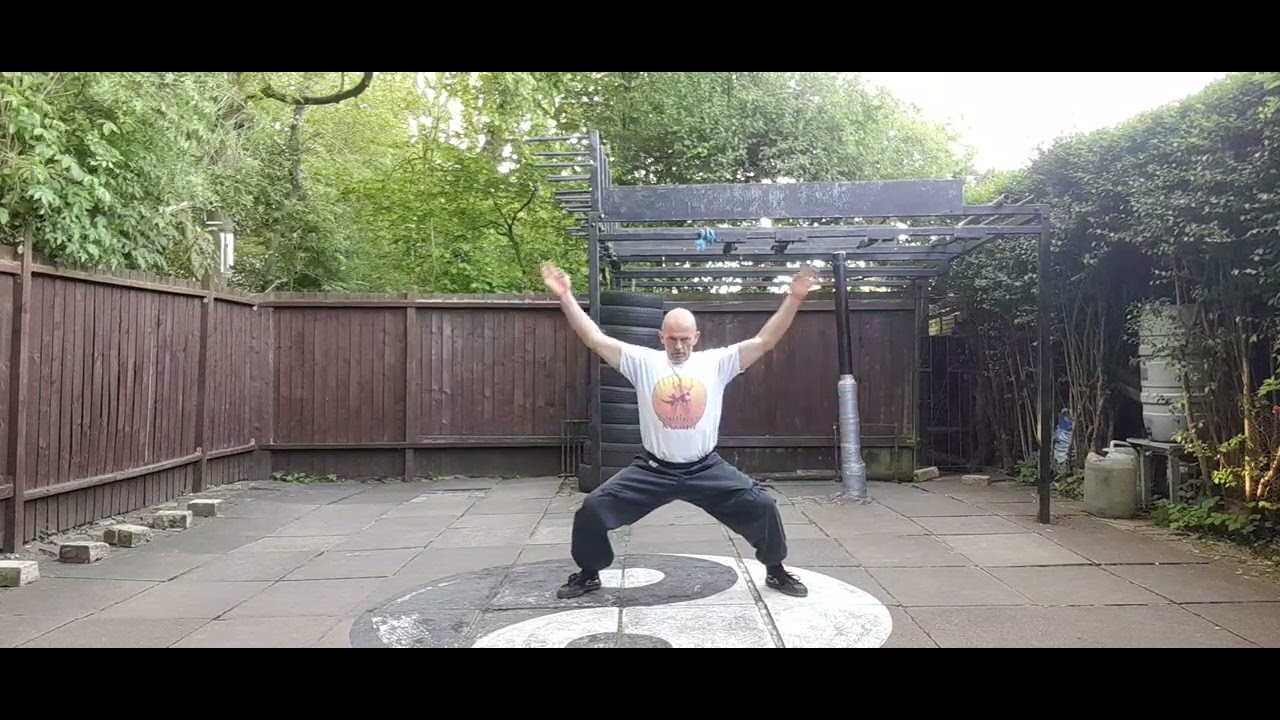 Southern Steelwire Mantis dynamic tension training,  I character five sections of tiger form.