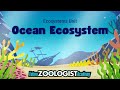 Ocean Ecosystems Quiz