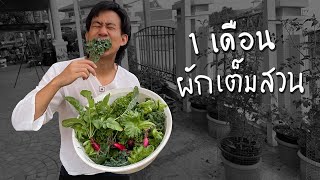 หายไป1เดือน ผักเต็มสวน | บอสแพลนท์เบส Ep.9