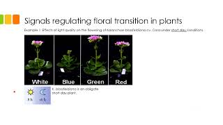 PSS 3324 Module 1 Lecture 3