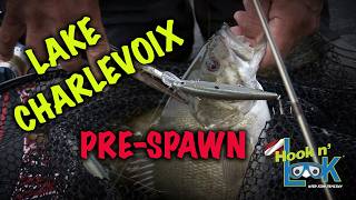 Lake Charlevoix Pre Spawn Smallmouth, and how they suspend off the break line.