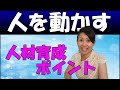 【必見】人材育成のポイント！！育て方を知らないと人はあなたのために動かない
