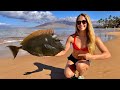 Surf donuts  spearfishing off the beach catch  cook unicorn fish hawaii