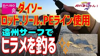 ダイソータックルでヒラメを釣る‼