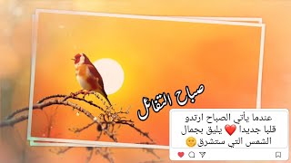 حالات واتس اب صباحيه//صباح الخير//حالات بدون موسيقى//اناشيد اسلامية//مقاطع انستقرام قصيرة2021