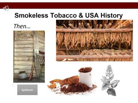 main street tobacco Yesterland: Tobacco Shop