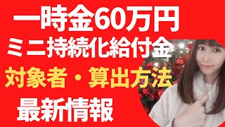 【今すぐ確認！FPが解説】一時金60万円最新情報　ミニ持続化給付金