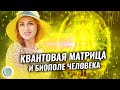 КВАНТОВАЯ МАТРИЦА И Биополе человека – Светлана-Мария Карра