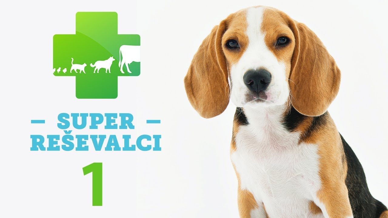Super Reševalci 1. oddaja