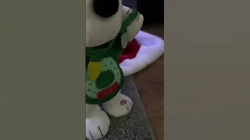 Bunny Hates The Christmas Decor Snoopy Specifically Bunny Christmasbunny Funny 