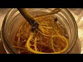 How to Prevent Root Rot In Your Cannabis Plants