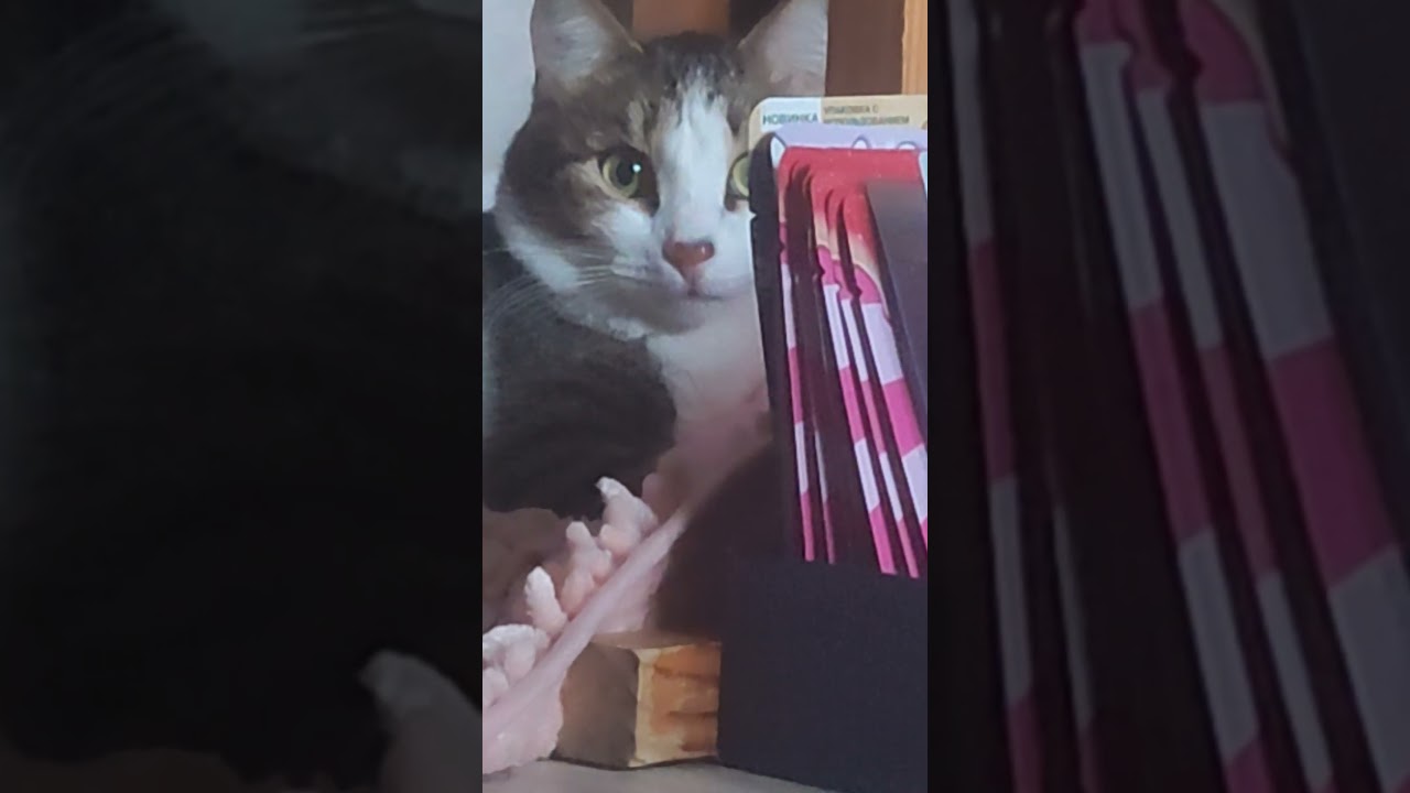 печенюшки без масла 🤣