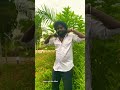 #trending #dance #love #oldsong #entertainment #viralvideo #karaikudi #sivagangai. ..❤️❤️..❤️❤️..