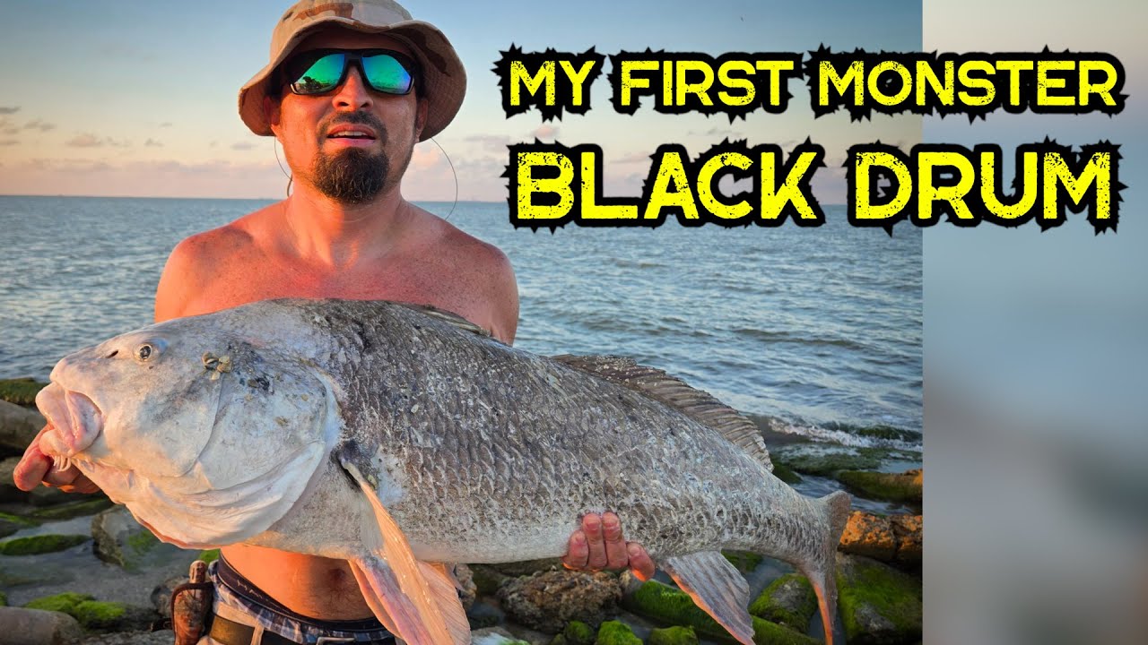 My First MONSTER Black Drum 