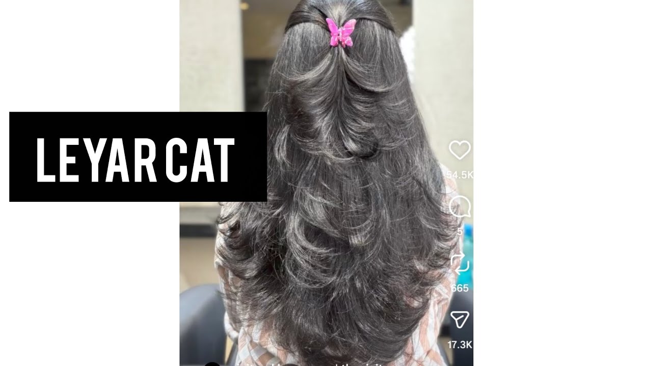 Leyar cat hair#parlour #customer service#training #💅💅💅