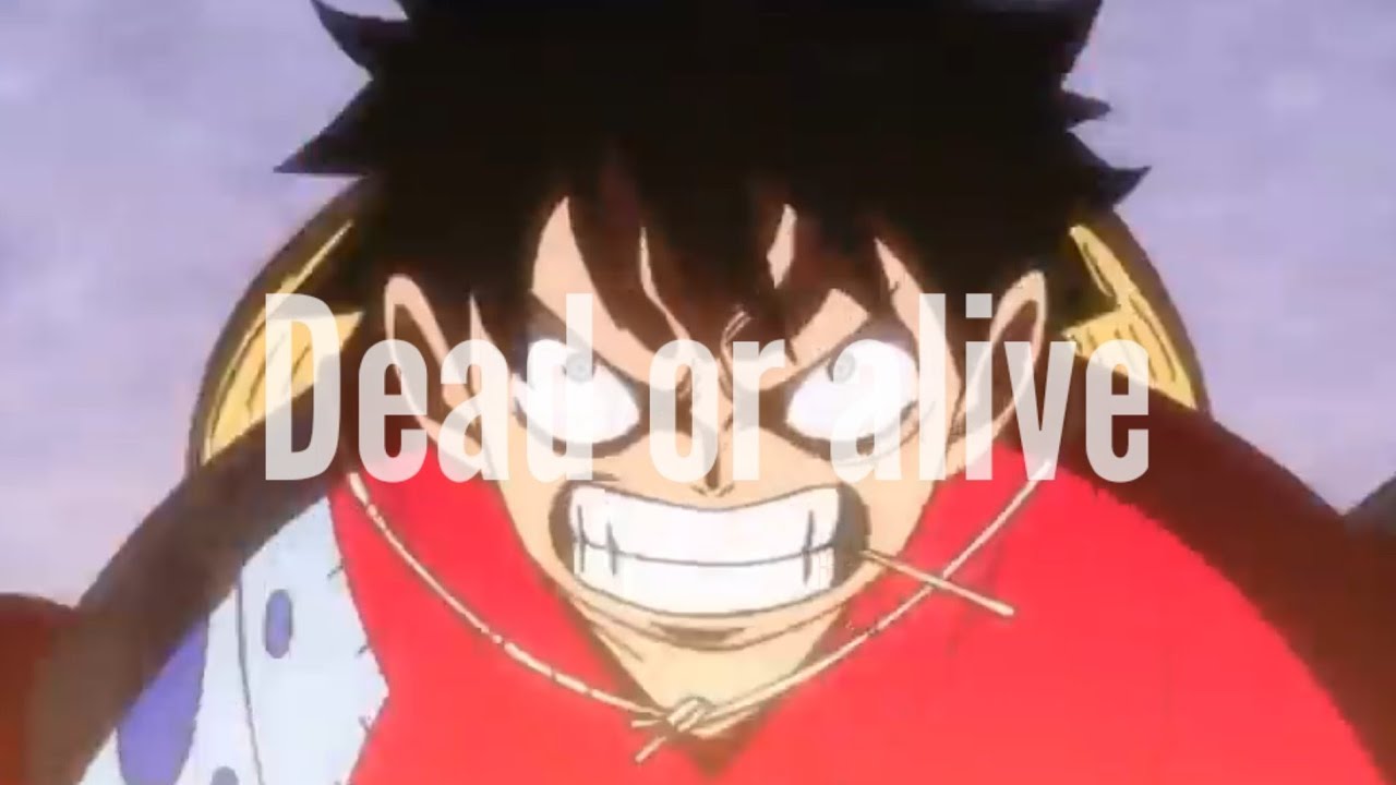 ONE PIECE AMV *Dead or alive* - YouTube