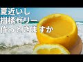 さわやかゆずゼリー！つぶつぶ丸ごと果肉入り！！【気になる新常識】